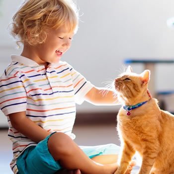 Beykoz villa bahçesi çocuk ve evcil hayvan dostu biyosidal ilaçlama